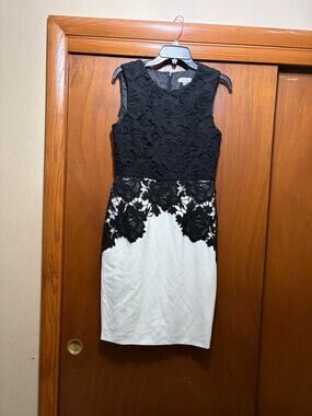 Calvin Klein Dress Womens 8 Black White Floral Lace Sleeveless Sheath